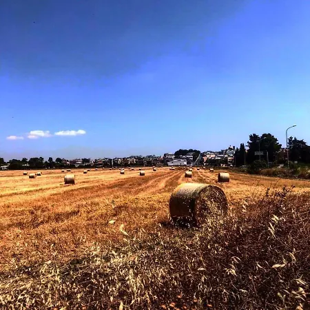 Prázdninový dům Casa Vacanze Al 106